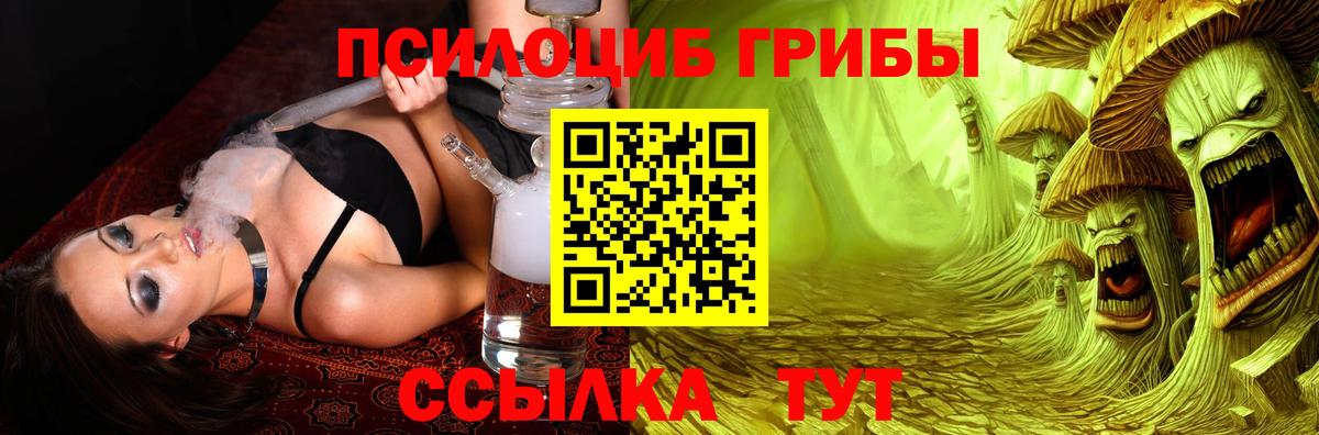 Выборг  Галлюциногенные грибы ЛСД  Псилоцибиновые грибы MAGIC MUSHROOMS  Вход с VPN 